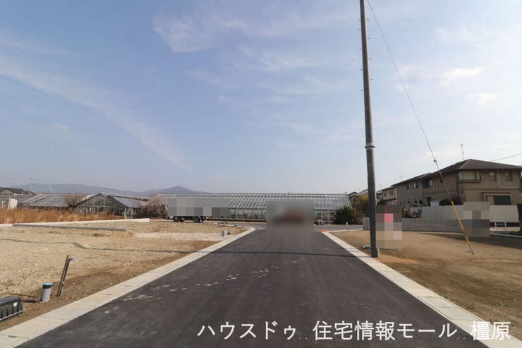 2026年1月16日撮影