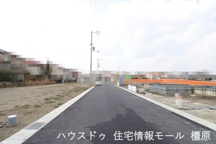 2026年2月12日撮影