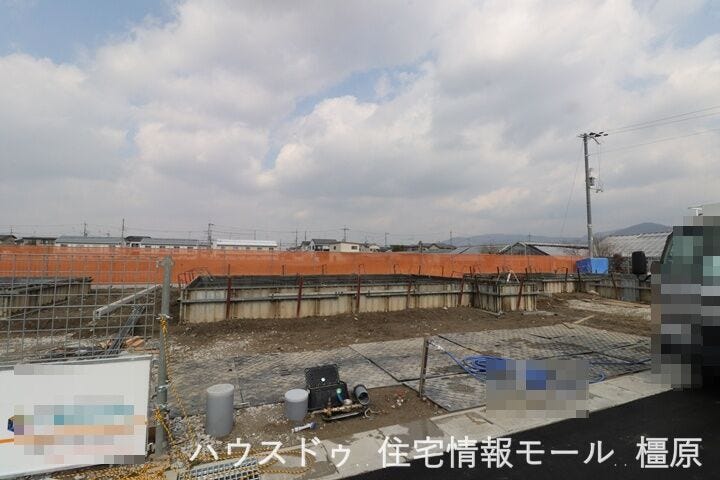 2026年2月12日撮影