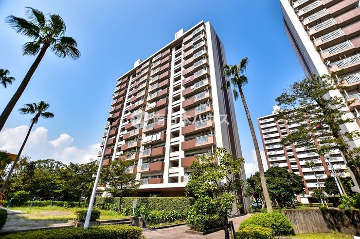 鴨池新町 鴨池ニュータウンサンハイツ６号棟