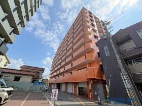 概観画像