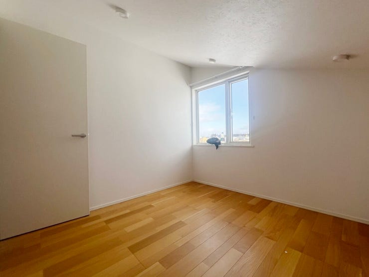 室内(2026年1月)撮影
◎本日案内可能◎
さっと拭くだけで綺麗になるフローリングは、毎日の掃除時間の時短に繋がります!