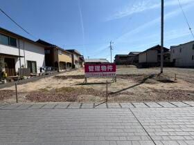 概観画像