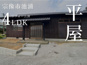 概観画像