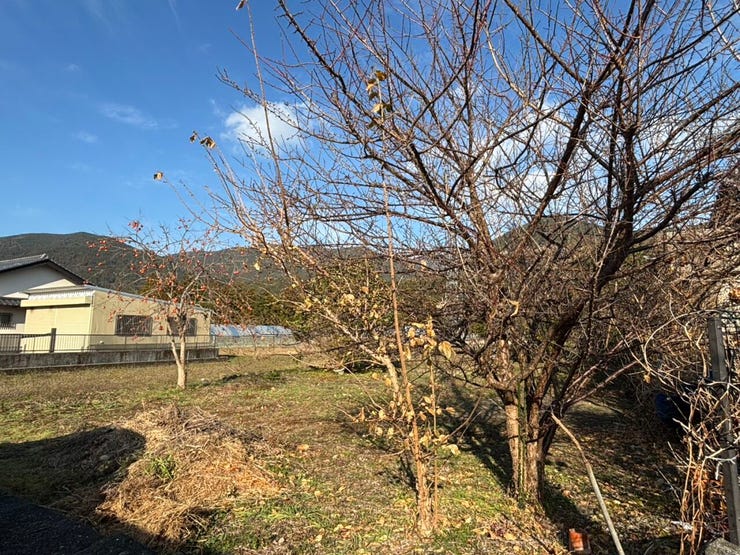 ★大宮小学校区★