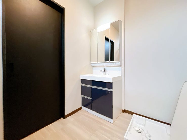 シャンプードレッサー付き洗面台が付いております◎