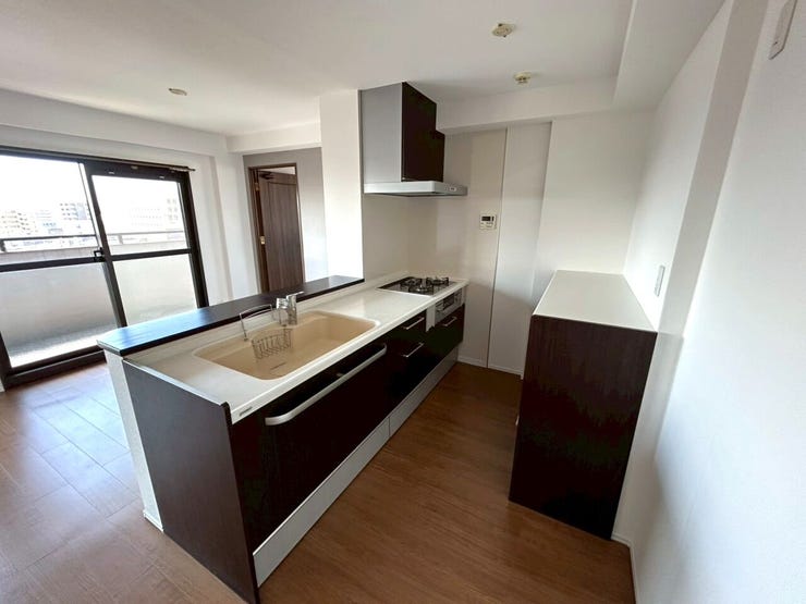 キッチンの背面には広さのある収納が備わっており、食品や食器、調味料入れとして重宝しそうです◎