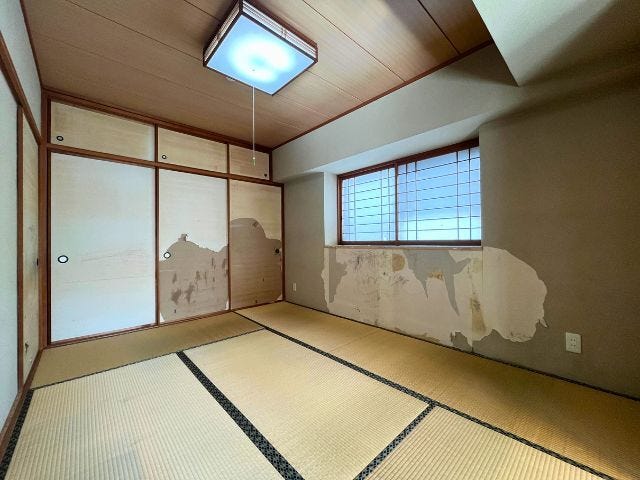 (2026年1月20日 撮影)