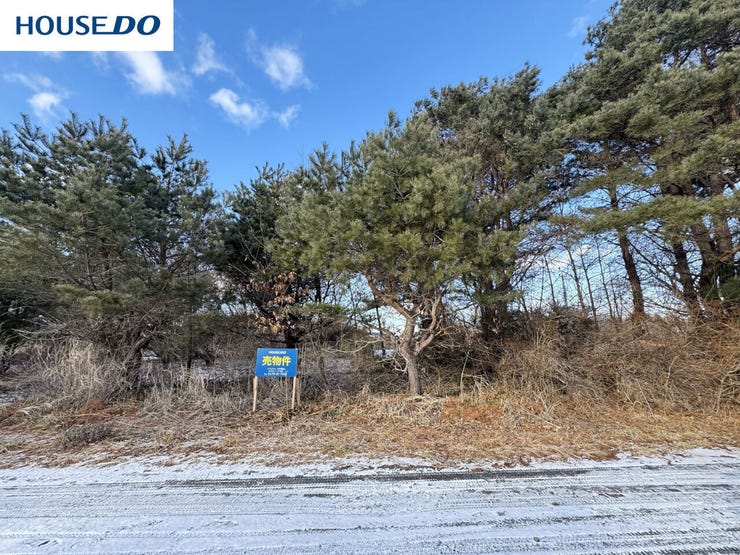 【外観】
現地(2026年1月)撮影
◎建築条件無し◎
詳細は、ハウスドゥ 八戸市庁前までお気軽にお問い合わせくださいませ♪