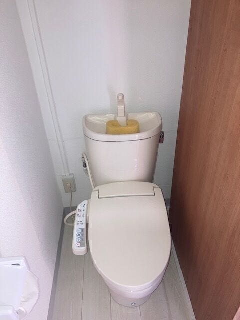 令和7年6月撮影