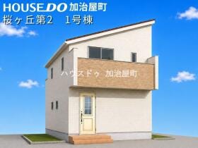 概観画像