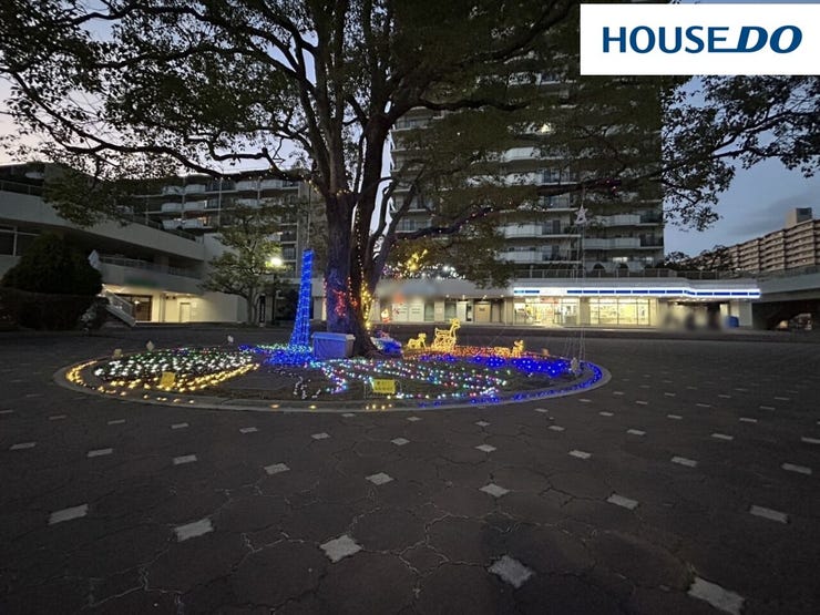 くすのきひろば♪クリスマス時期になるとイルミネーションが点灯します☆(クリスマス時期夜撮影)