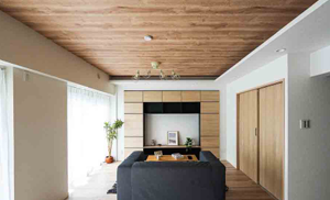 イメージ画像です