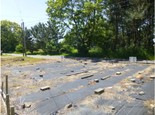 建築条件はありません。お好きな会社で建築できます。