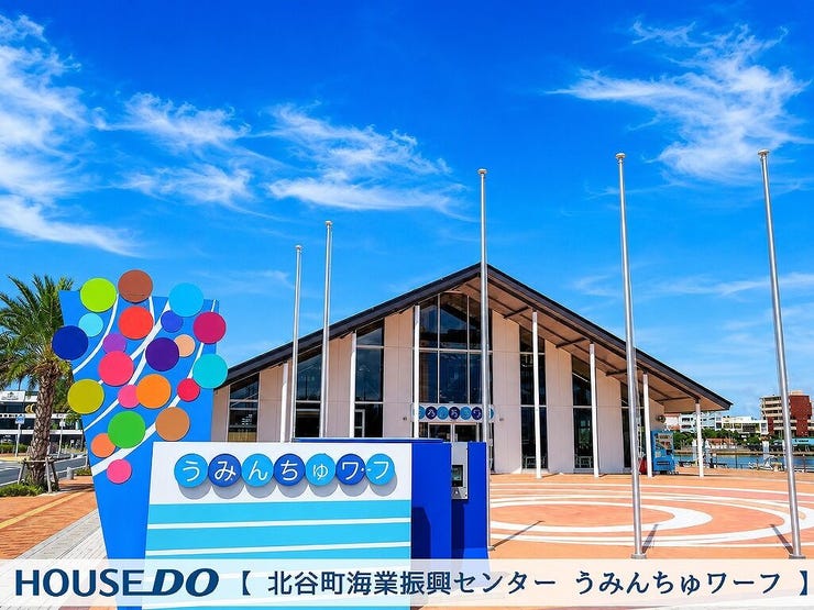 周辺施設