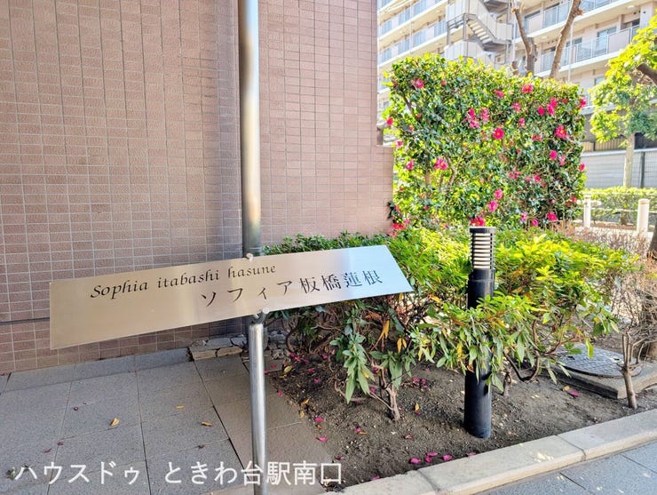 植栽と調和したアプローチが魅力のエントランス周辺。手入れの行き届いた緑が、日常に落ち着きと季節感を与えてくれます。