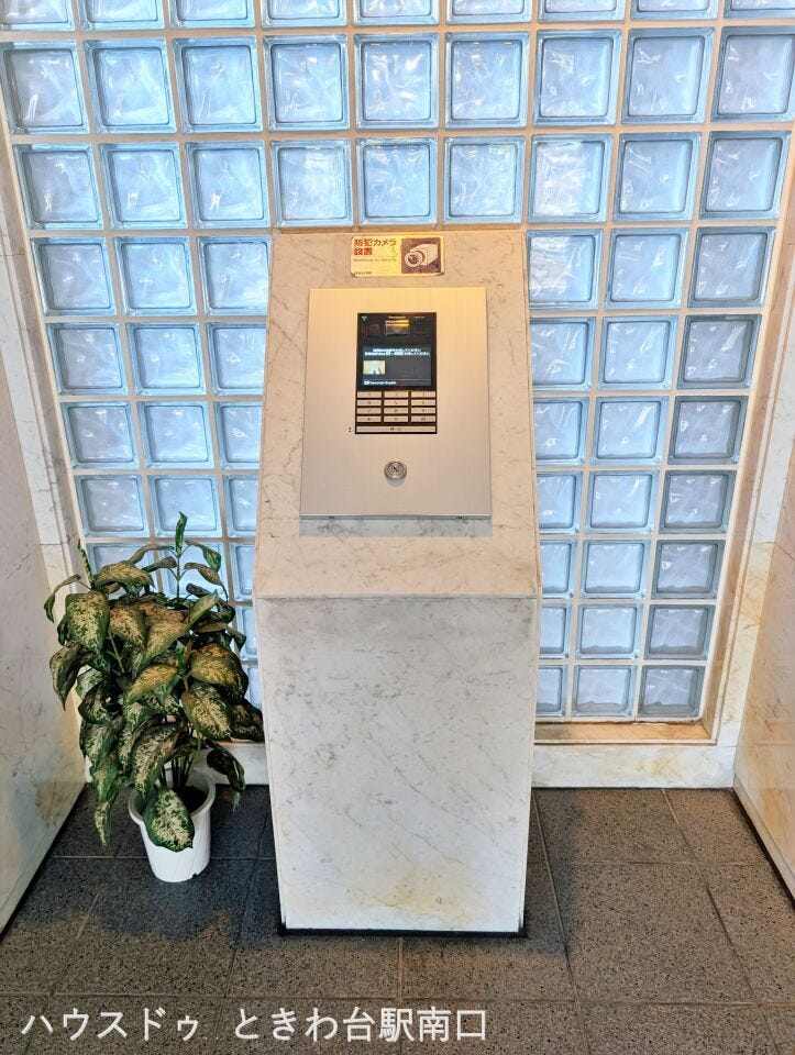 植栽と調和したアプローチが魅力のエントランス周辺。手入れの行き届いた緑が、日常に落ち着きと季節感を与えてくれます。