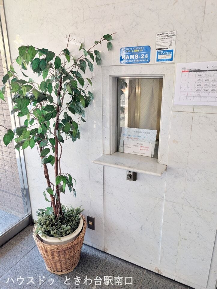 管理人窓口付近には植栽が配置され、共用部も落ち着いた雰囲気。掲示物も整理され、管理体制の良さが感じられます。