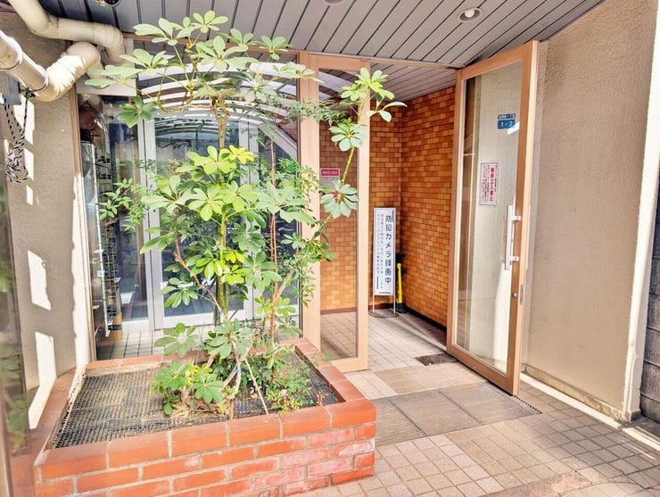 植栽のあるアプローチがあり、建物に入る前に少し落ち着いた空気を感じられます。