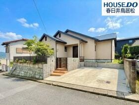 概観画像