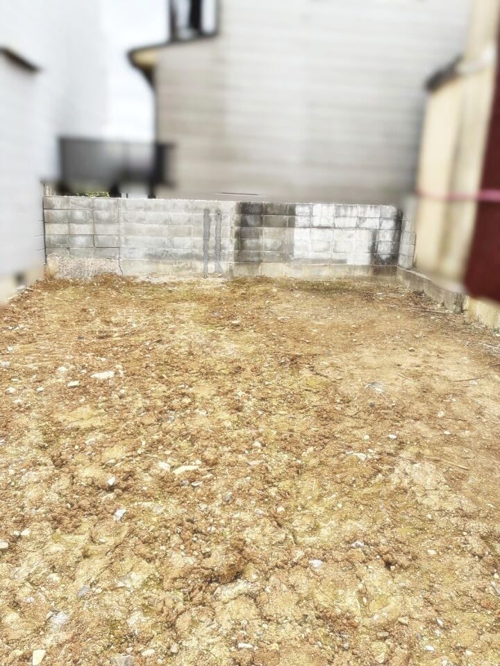 現地撮影(2026年2月)