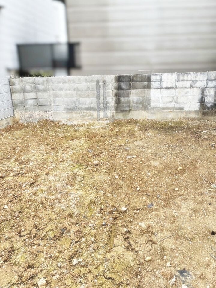 現地撮影(2026年2月)