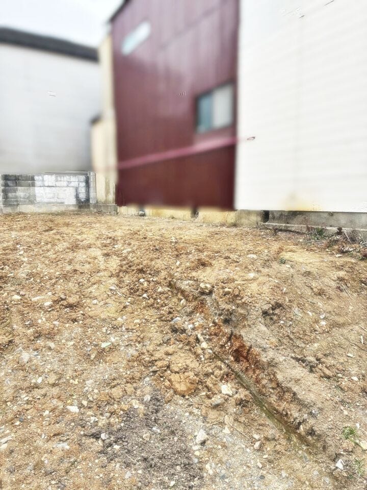 現地撮影(2026年2月)