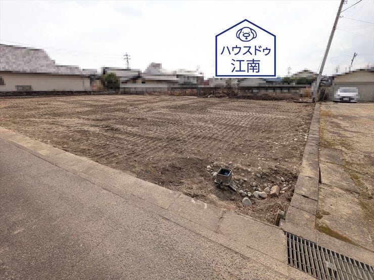 A区画
2026/2/6撮影