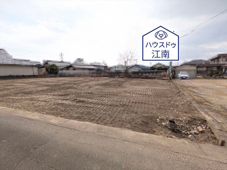 A区画
2026/2/6撮影