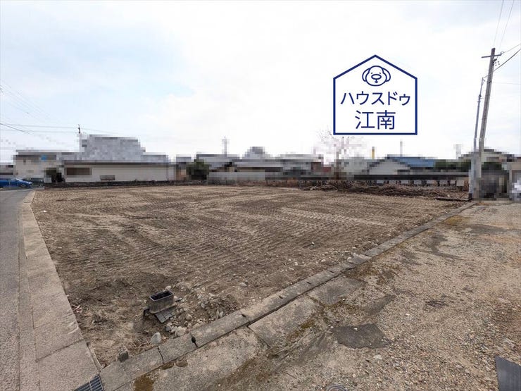 全体
2026/2/6撮影