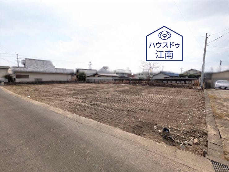 全体
2026/2/6撮影