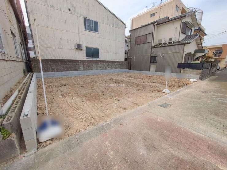 現地写真(2026.2.25)