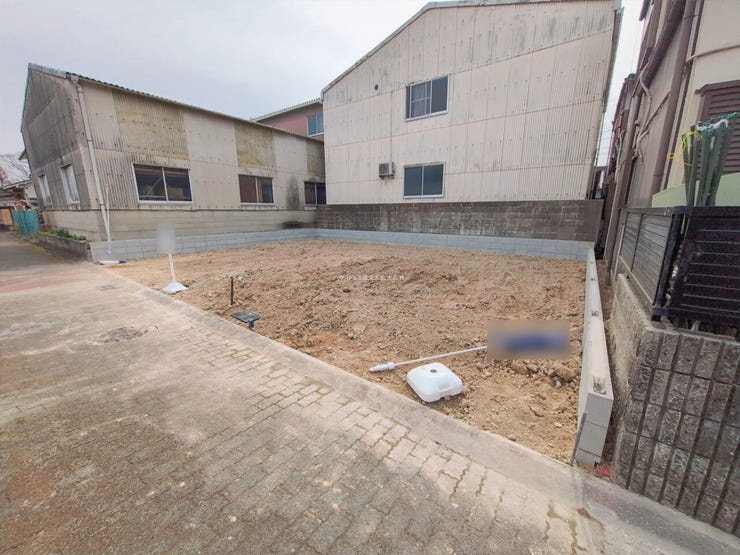 現地写真(2026.2.25)