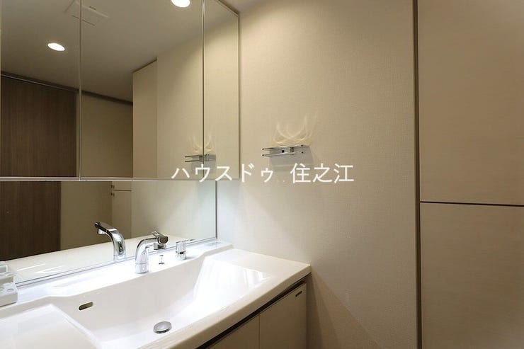 大きな三面鏡付きの洗面台です。たっぷりの収納を設けたシャワー付です