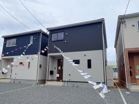 概観画像