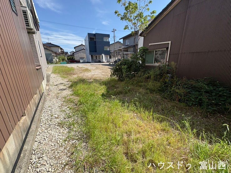 敷地奥から道路方向を望んだ様子