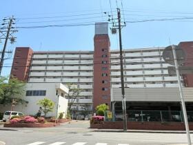 概観画像