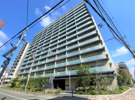 概観画像