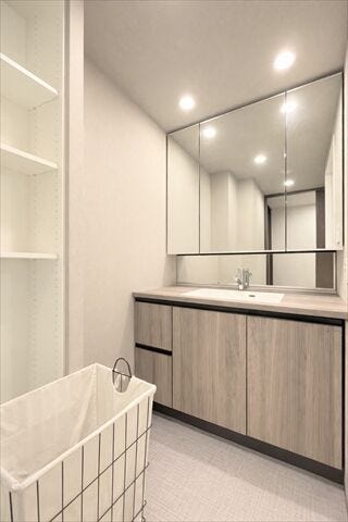 洗面台の鏡裏は収納スペースになっています。
隠す収納でスッキリ周辺を片付けることが出来ます。
小さめのドライヤーならすっぽり収まります。