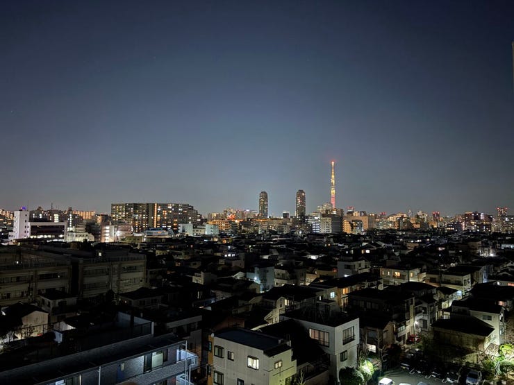 東京タワーを望む開放感ある眺望です。