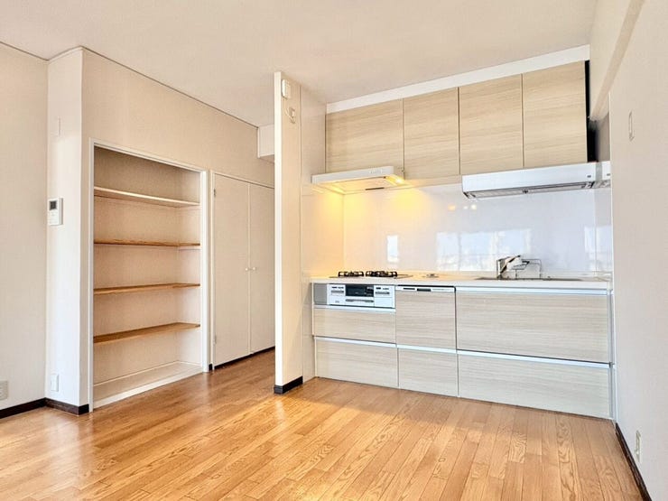 食器洗浄乾燥機付きのシステムキッチンです。