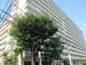 江戸川区中葛西４丁目