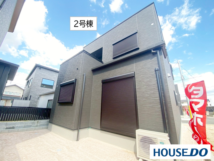 2026年3月13日撮影