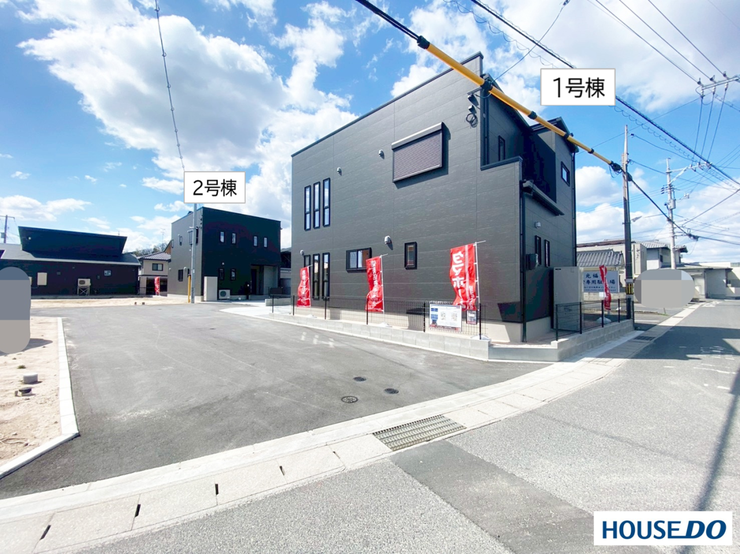 2026年3月13日撮影