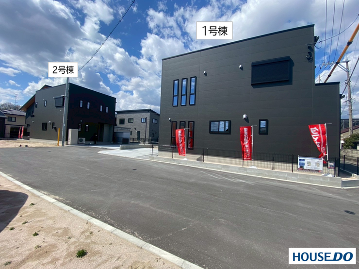 2026年3月13日撮影