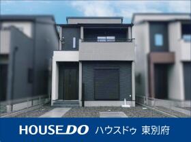 概観画像