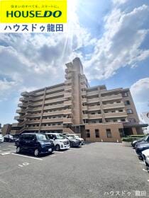 概観画像