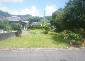 概観画像