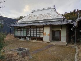 概観画像