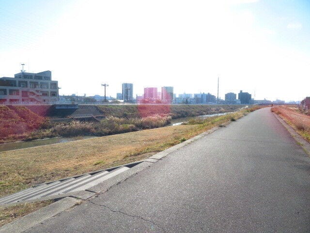 マンション南東側前面道路です。天白川沿いの堤防道路です。